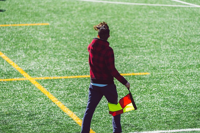 有极大的期 有极大的期