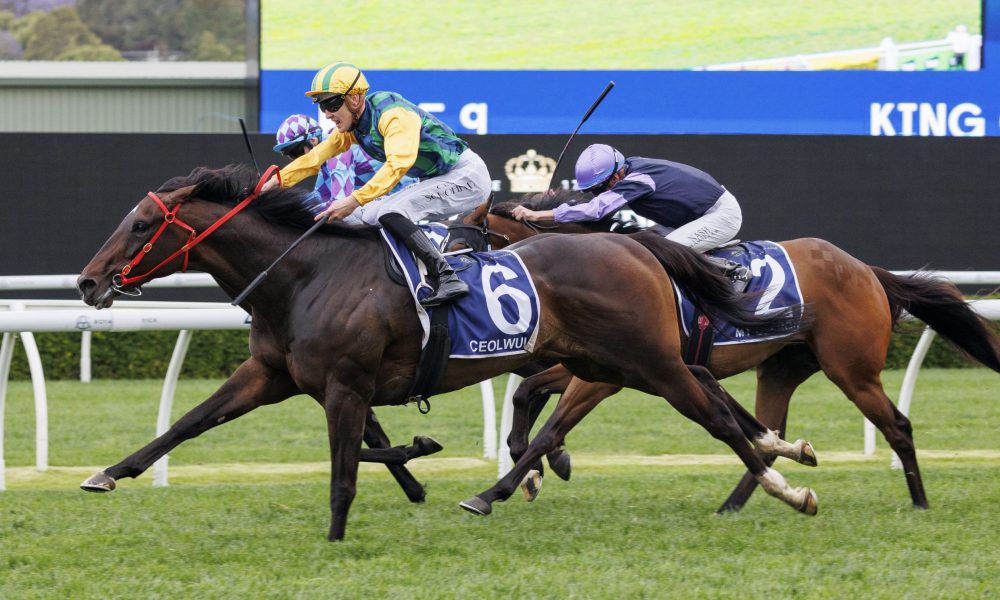 术的灵活运 术的灵活运