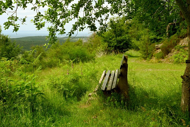 球员上投入 球员上投入