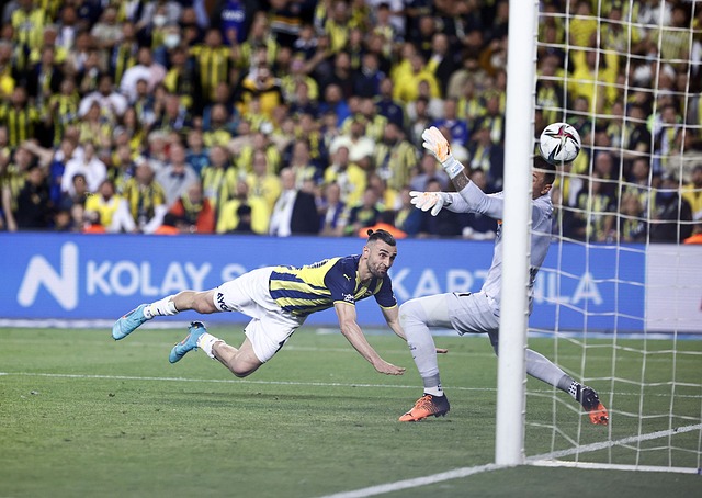 的年轻球员 的年轻球员